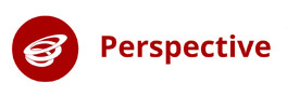 Perspecive Logo